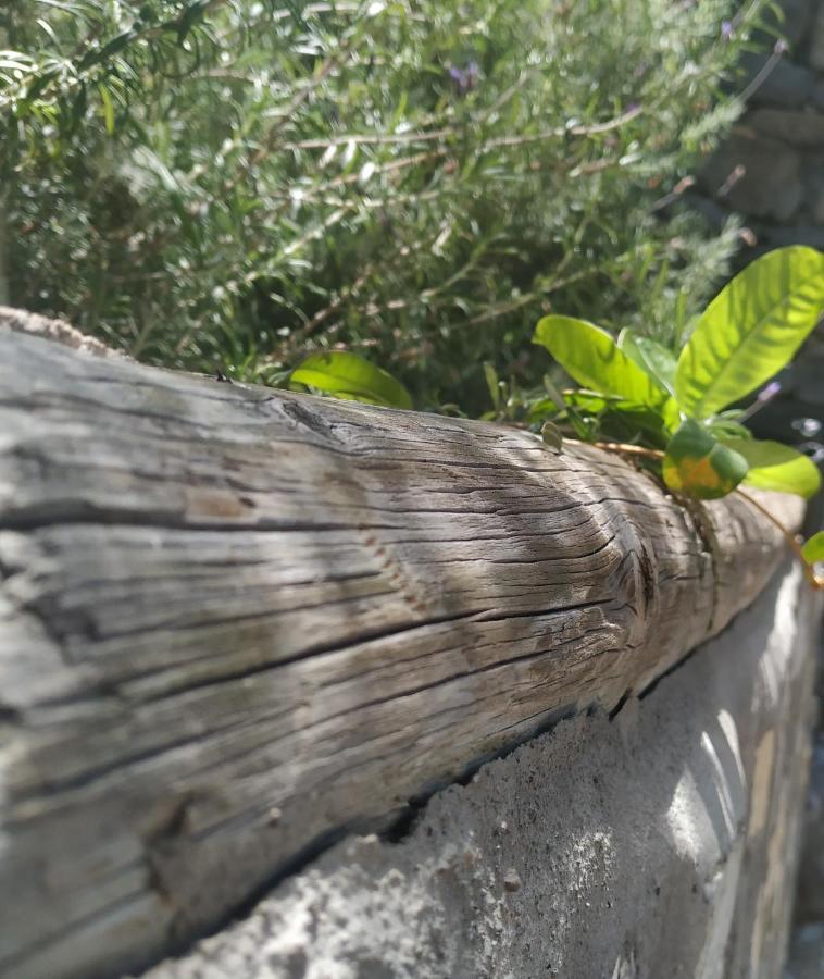 Finca La Ladera Valle Gran Rey Eksteriør billede