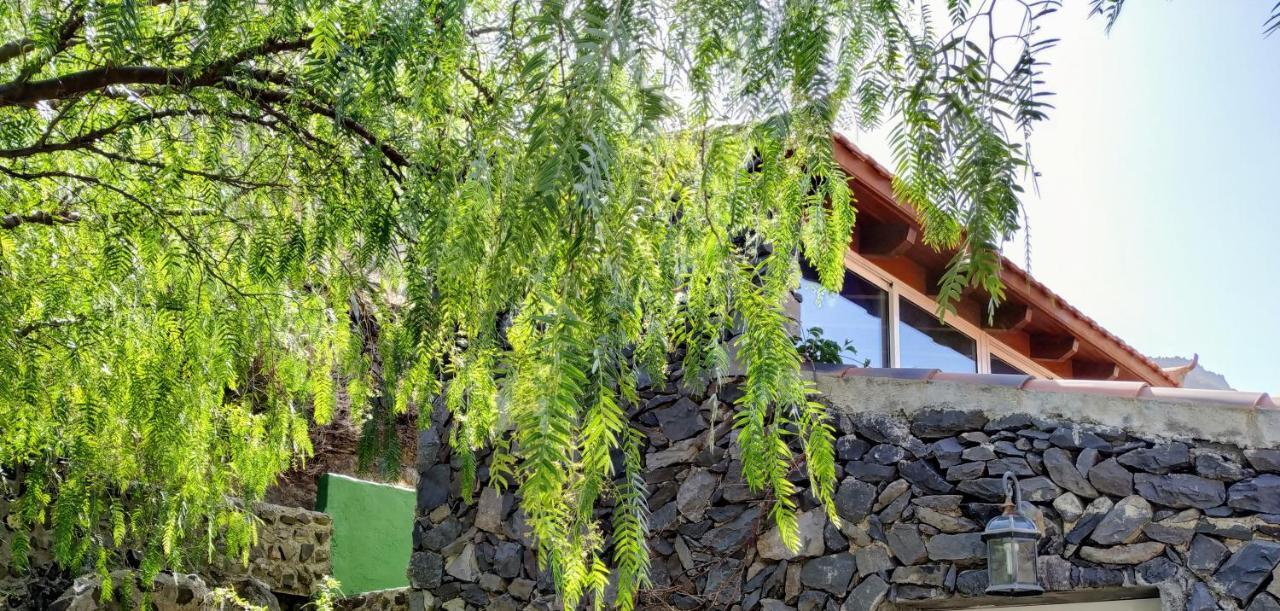 Finca La Ladera Valle Gran Rey Eksteriør billede